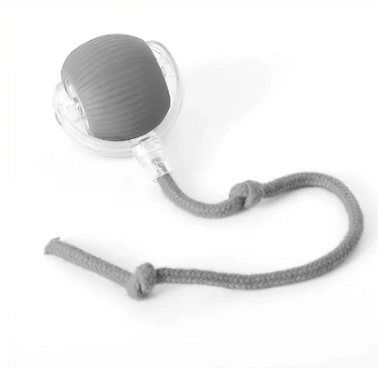 Interactive Self-Playing Rolling Cat Ball with Teaser Rope
