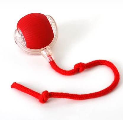 Interactive Self-Playing Rolling Cat Ball with Teaser Rope